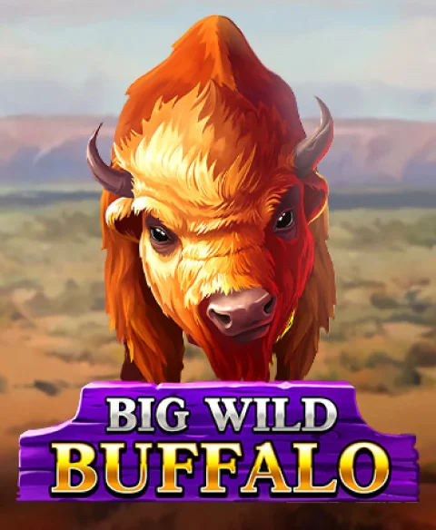 Play Big Wild Buffalo at K9 Win Casino